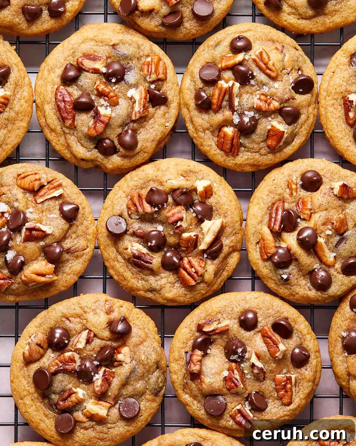 Chocolate Chip and Pecan Cookies — Chewy Oven-Baked Recipe 7 Chocolate chip pecan cookies cooling on a wire rack.