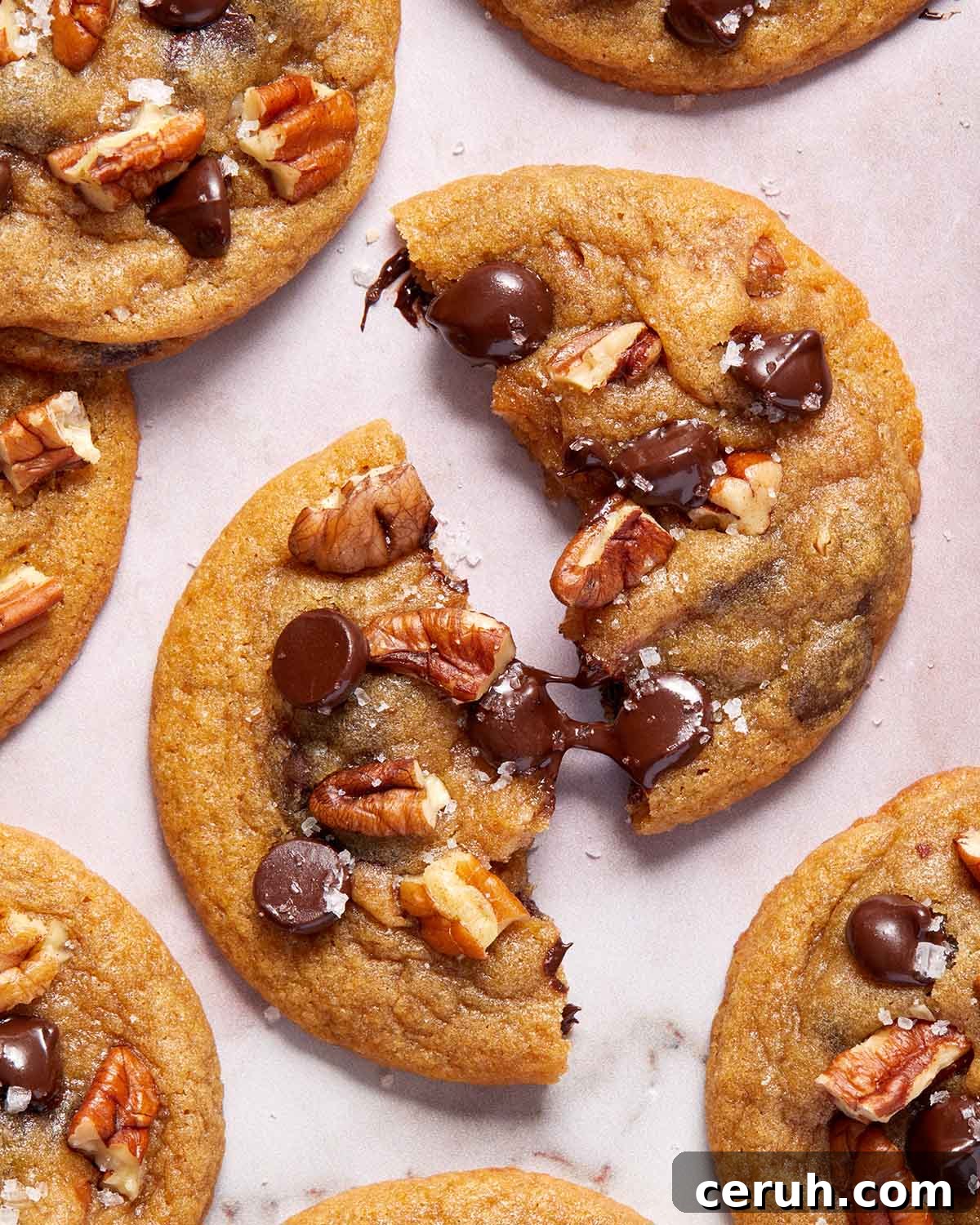 Chocolate Chip and Pecan Cookies — Chewy Oven-Baked Recipe 9 Close up view of a cookie broken in half.