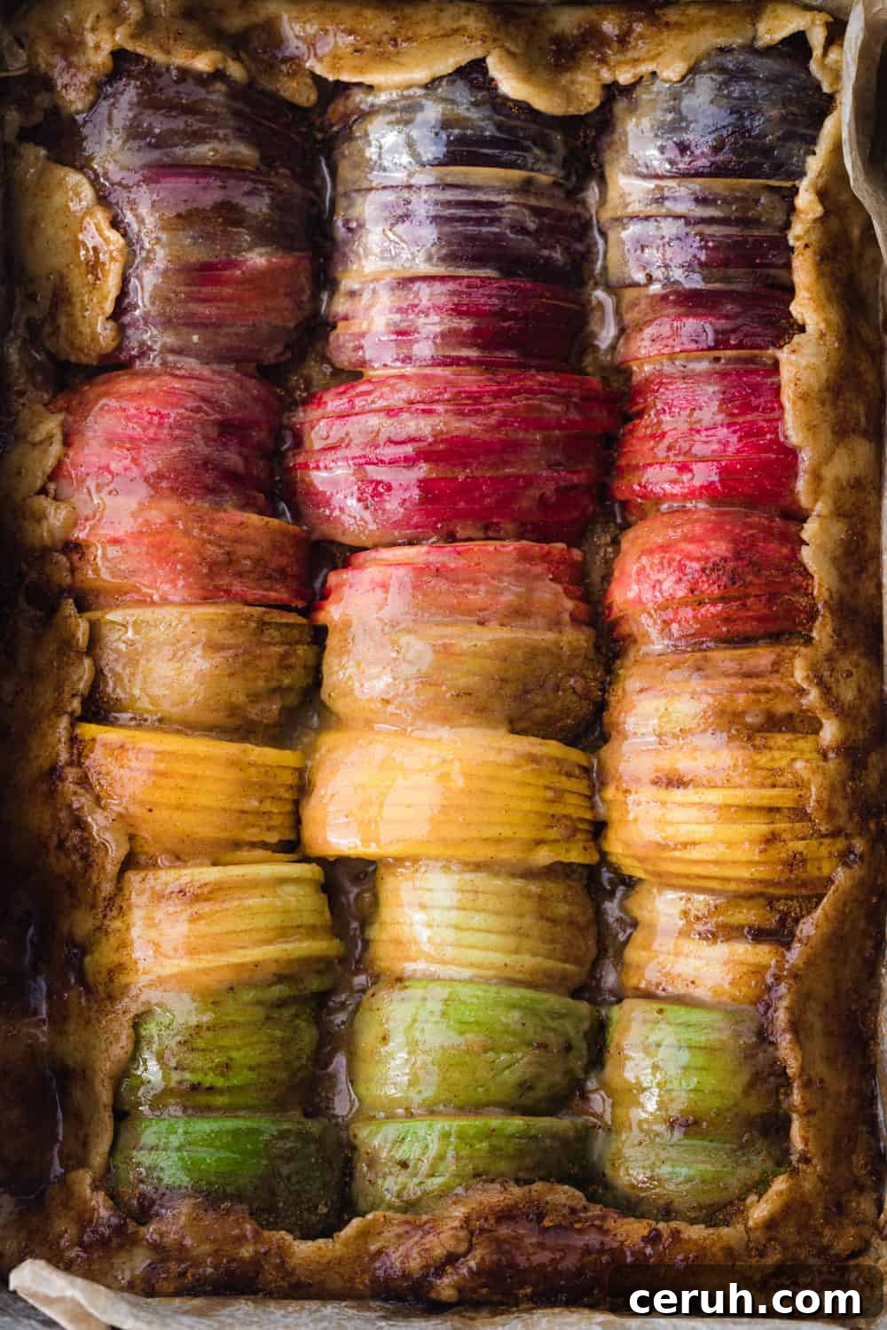 A colorful spiced apple galette on homemade dough.