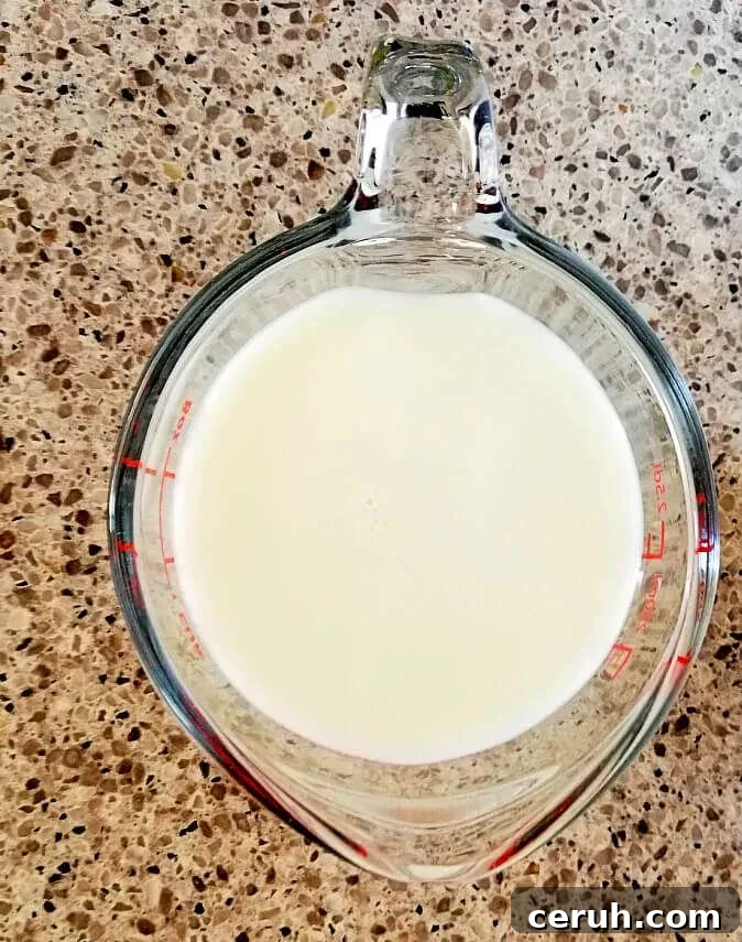 homemade buttermilk overhead