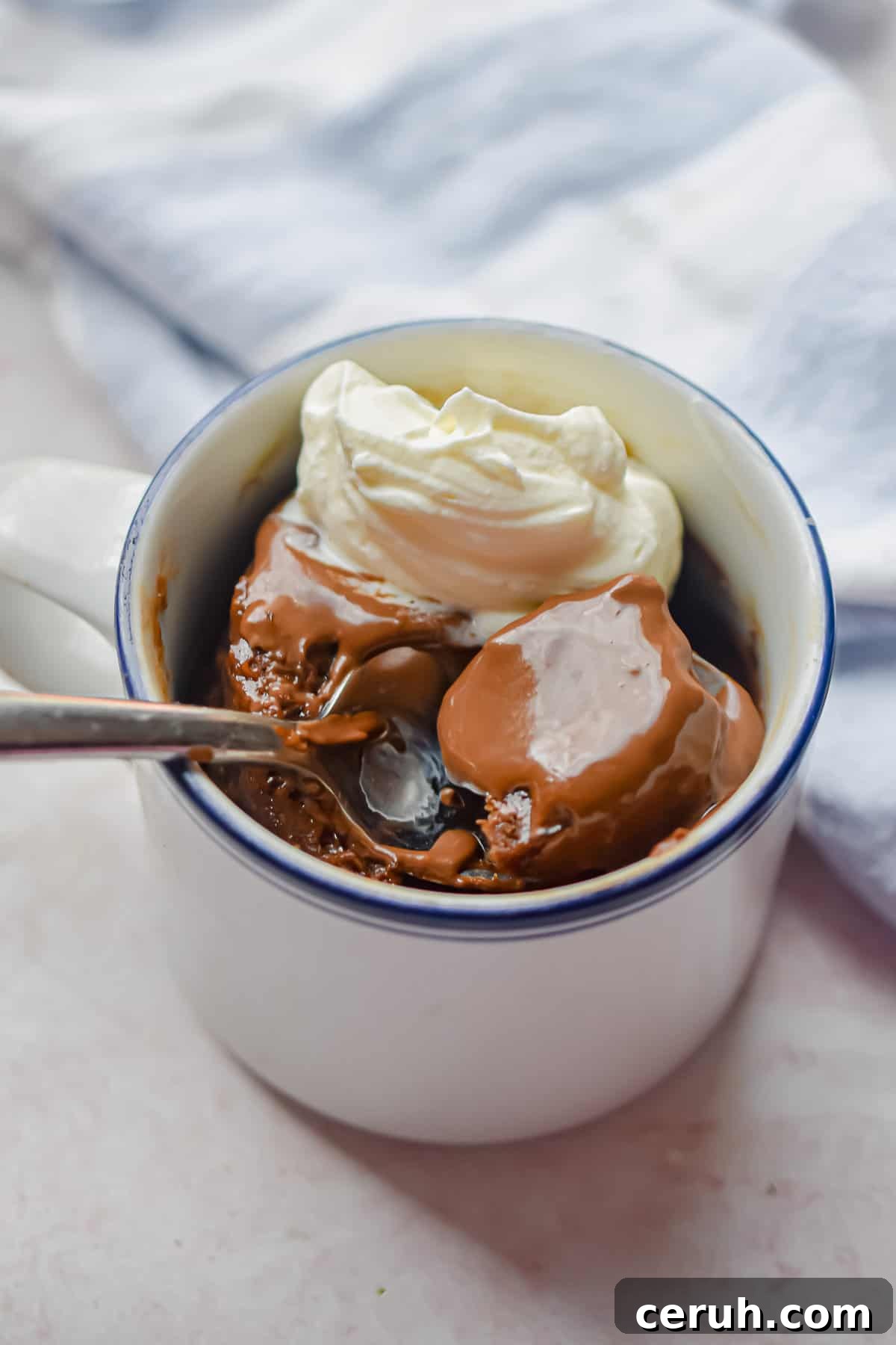 Whipped cream and nutella topped the mug cake.