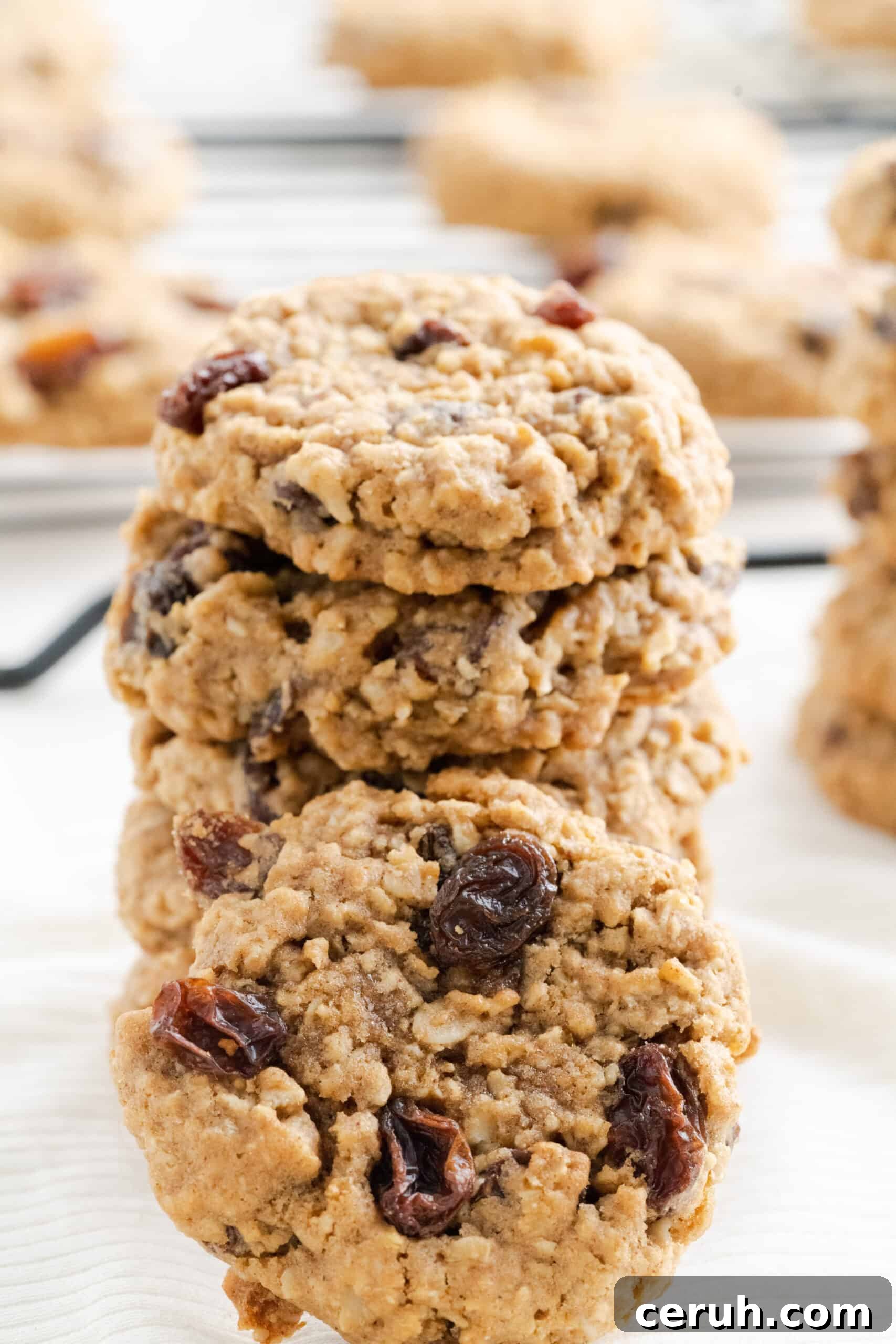 Soft Chewy Oatmeal Raisin Cookies That Stay Moist Longer 3 A stack of oatmeal raisin cookies with cookie propped in front.