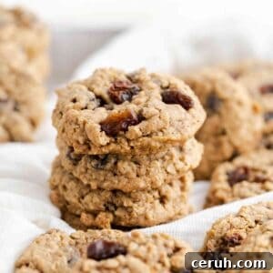 Soft Chewy Oatmeal Raisin Cookies That Stay Moist Longer 7 Oatmeal Raisin Cookies featured image.