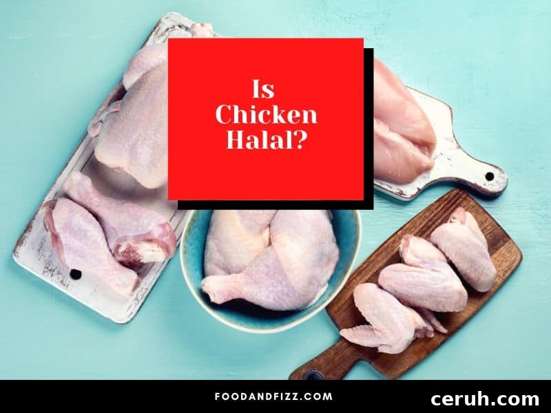 Is Chicken Halal?