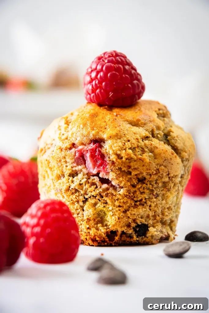 Whole Wheat Strawberry Banana Protein Muffins