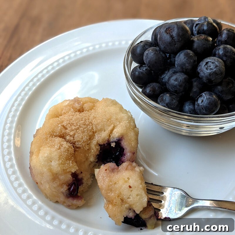 Blueberry Muffin in a Mug