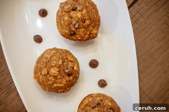 Chocolate Chip Muffins