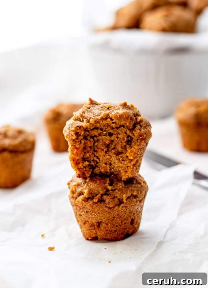 Sweet Potato Muffins