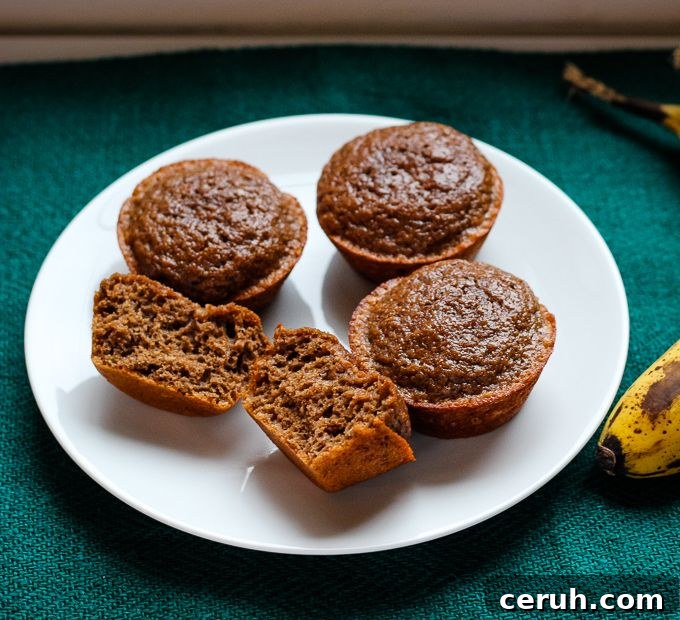 Banana Bread Protein Muffins