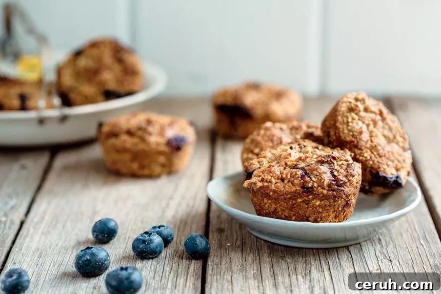 Vegan Blueberry Muffins