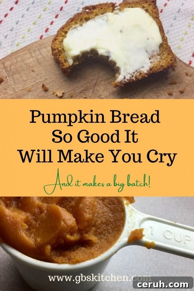 Irresistible Pumpkin Bread Recipe That Brings Tears of Joy 3 img 1424 2