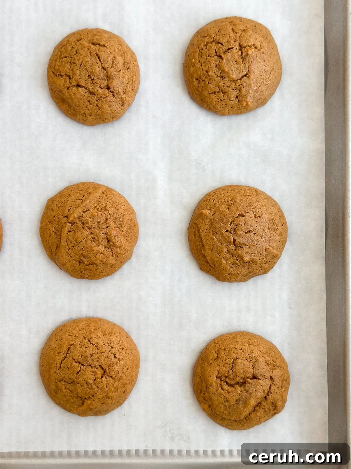 gingerbread cookies right after baking.