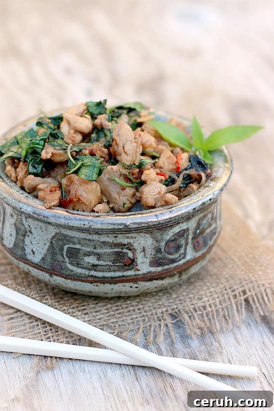 Thai Rama Chicken in Creamy Peanut Sauce Recipe 7 Close up photo of Spicy Thai Basil Chicken in a bowl with chopsticks