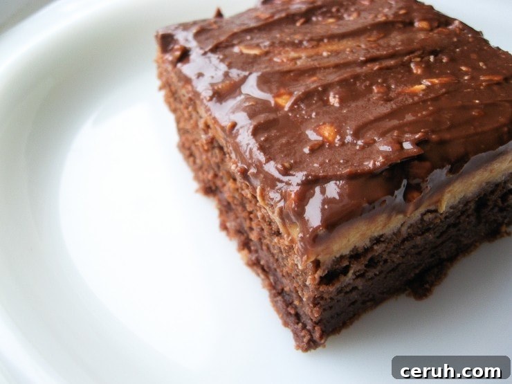 Peanut Butter Milk Chocolate Brownies Recipe | sophisticatedgourmet.com