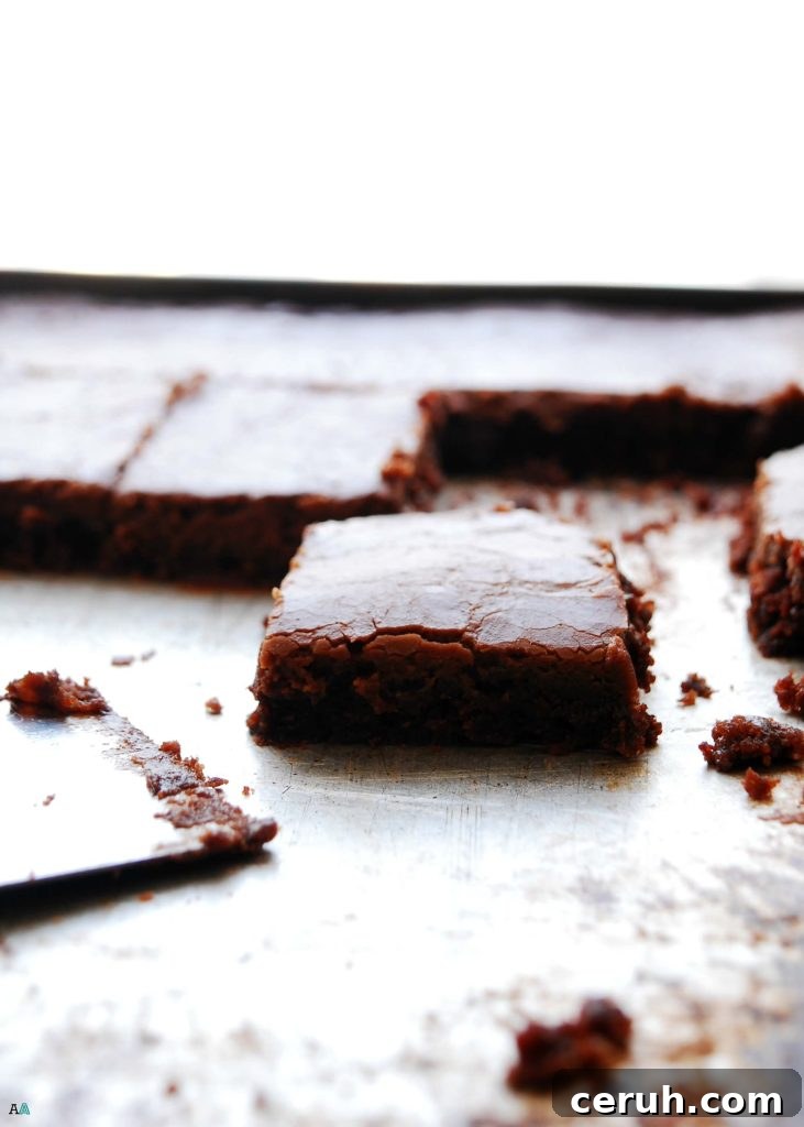 Chocolate Sheet Cake (Gluten, dairy, egg, soy, peanut and tree nut free; top 8 free; vegan)