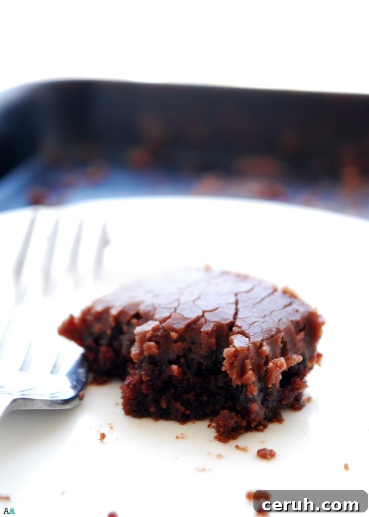 Chocolate Sheet Cake (Gluten, dairy, egg, soy, peanut and tree nut free; top 8 free; vegan)