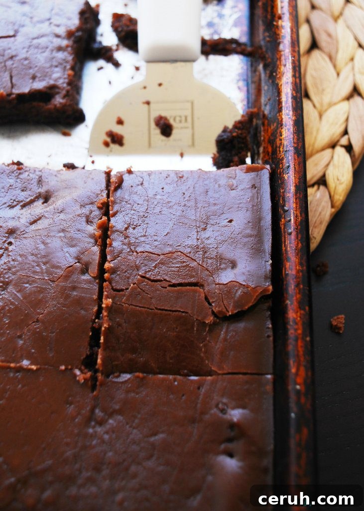 Chocolate Sheet Cake (Gluten, dairy, egg, soy, peanut and tree nut free; top 8 free; vegan)