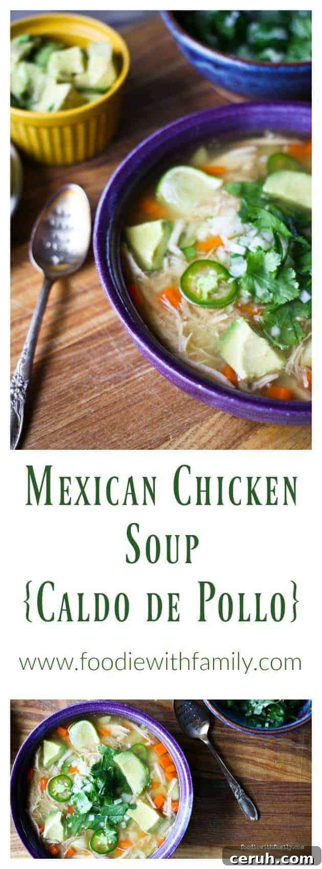 Mexican Chicken Soup Caldo de Pollo from foodiewithfamily.com