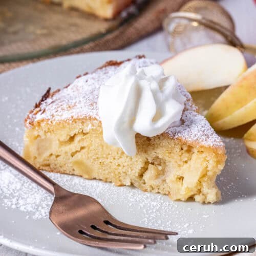 A slice of apple cake topped with whipped cream and powdered sugar, served on a plate with apple slices and a fork.