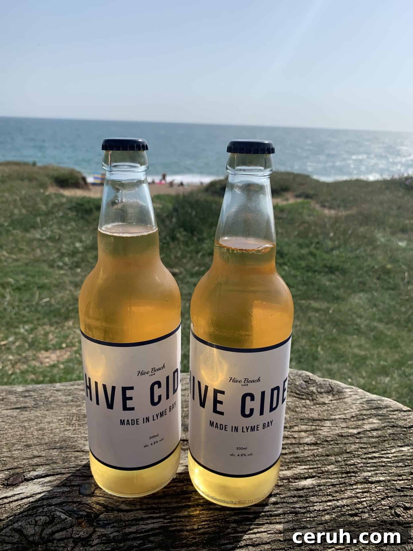 8 Top Gluten-Free Restaurants Near Bridport, Dorset 9 gluten free bridport and west bay, dorset 5