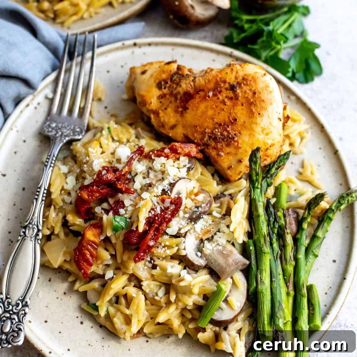 Chicken and creamy orzo on a plate with a fork. 
