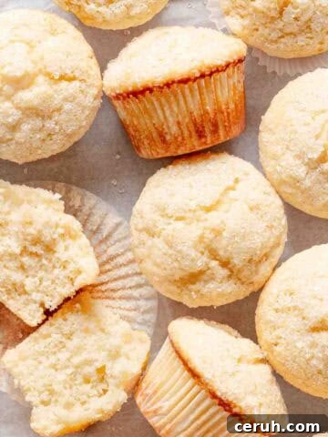 group of buttermilk muffins on white background.