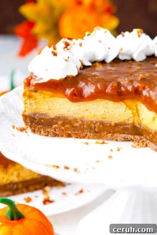 Pecan pie pumpkin cheesecake with pecan caramel topping.