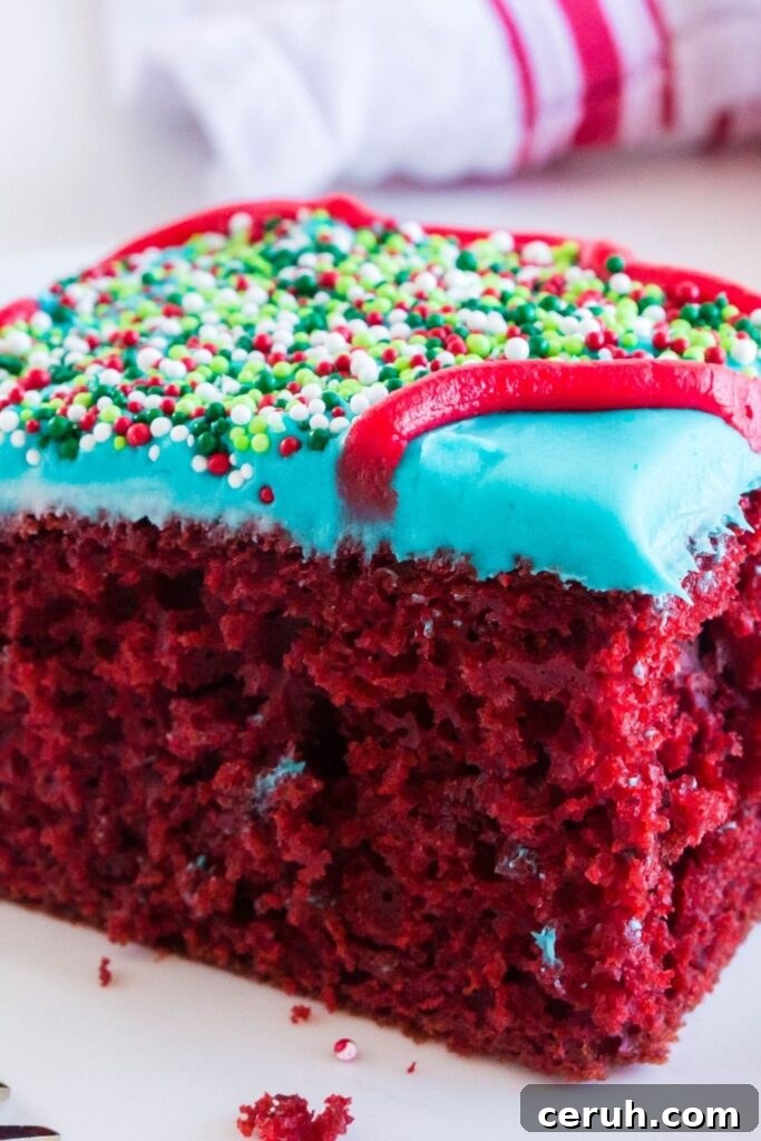 slice of red velvet cake on plate 
