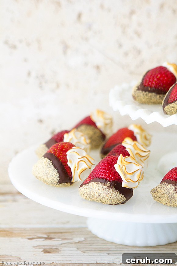 Strawberry Smores by Bakers Royale