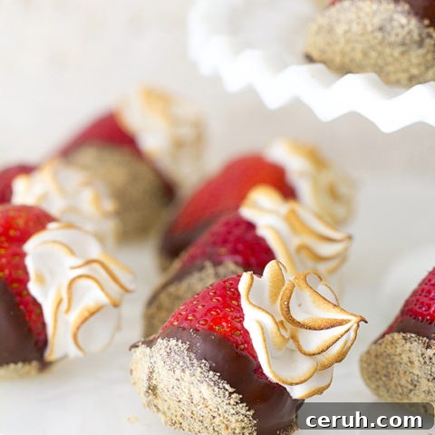 Strawberry S'mores