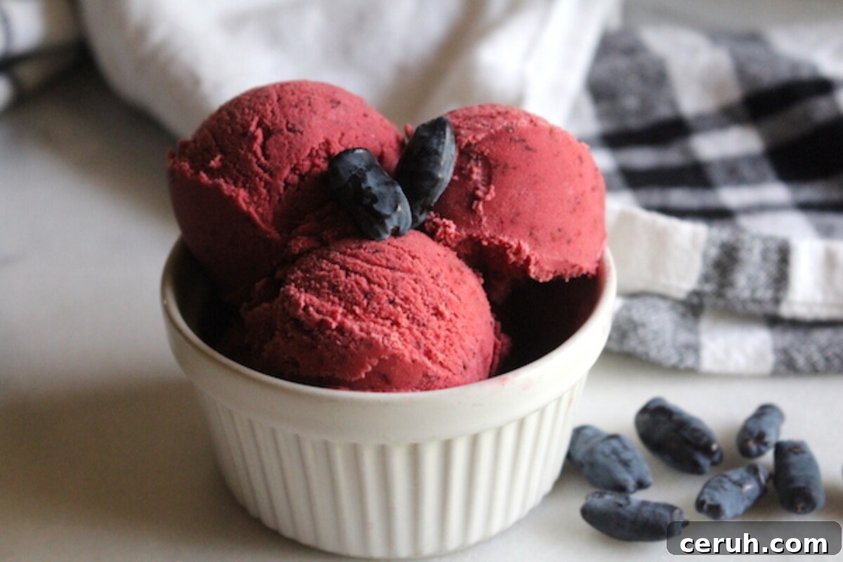 Growing Honeyberries (Haskap): Planting, Care & Harvest Guide 12 Homemade Haskap Ice Cream