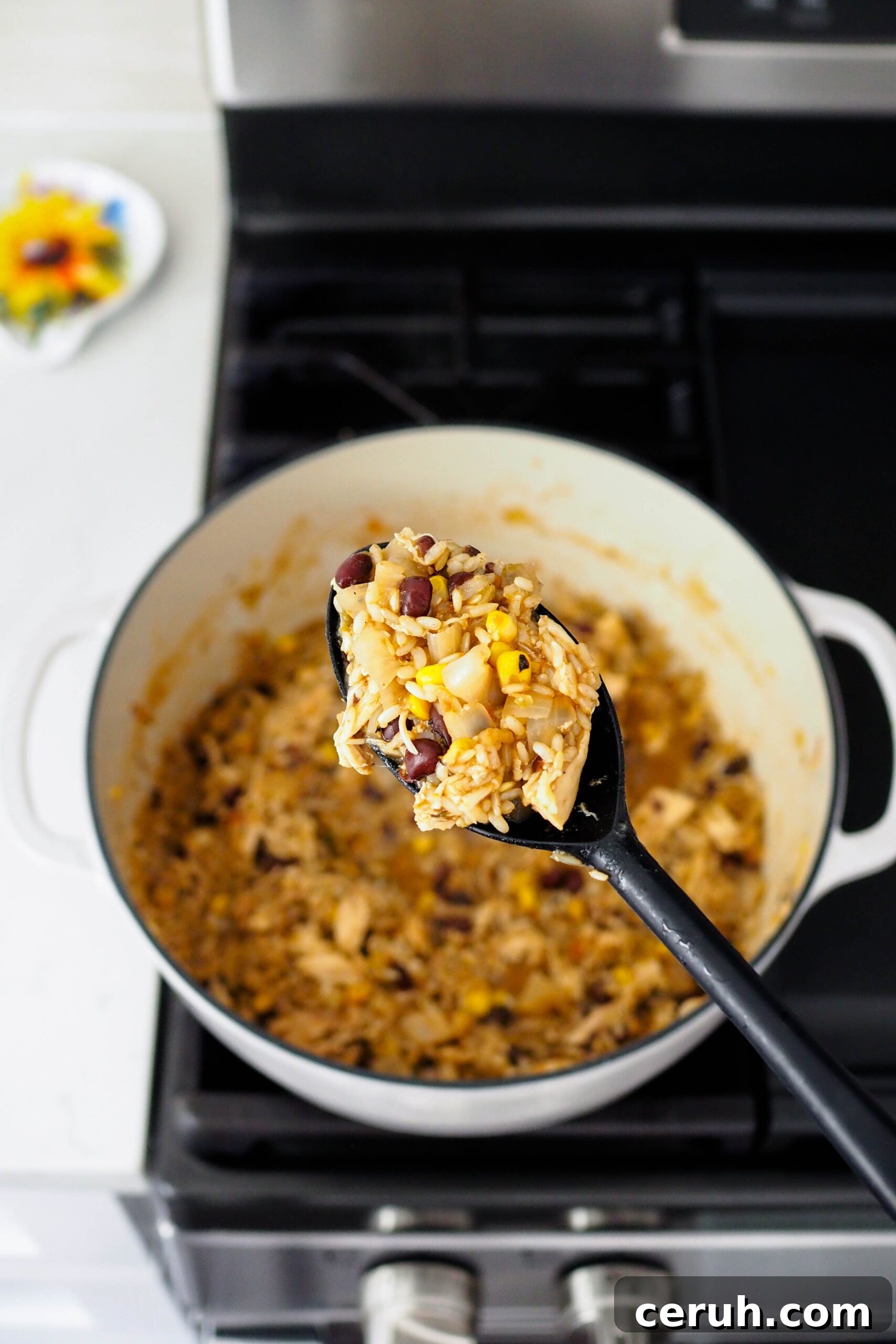 A spoon holds up one-pot chicken and brown rice.