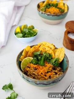 A bowl of one-pot chicken and brown rice with black beans and corn topped with tortilla chips, cilantro, lime, and cheese.