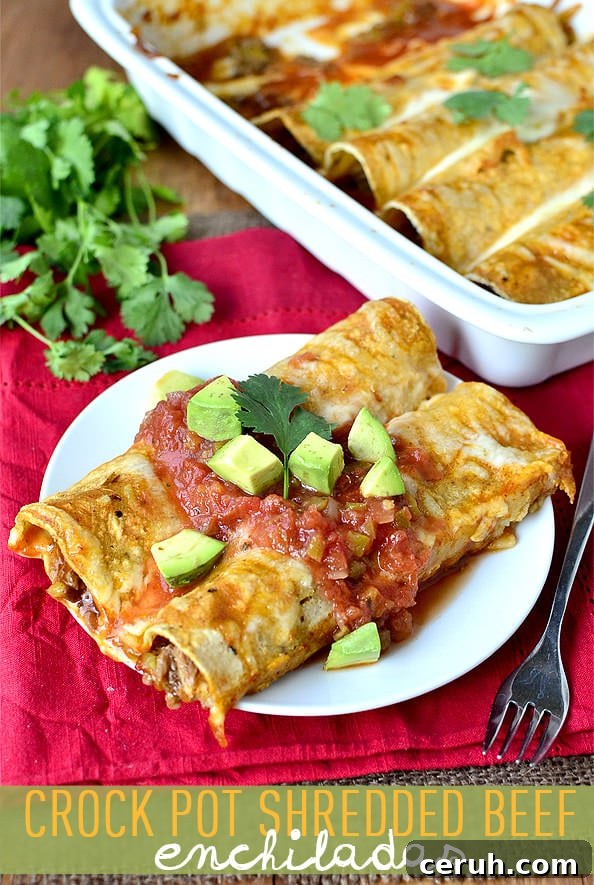 Shredded-Beef-Enchiladas-iowagirleats-01_mini1