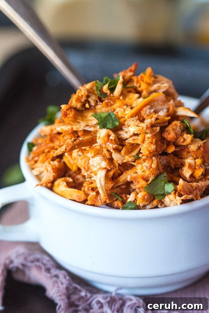 pulled-tandoori-chicken-3