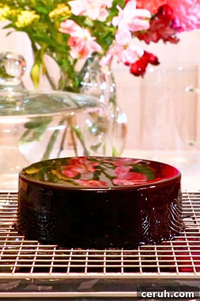 a chocolate mousse cake glazed with mirror glaze