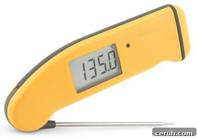 thermapen