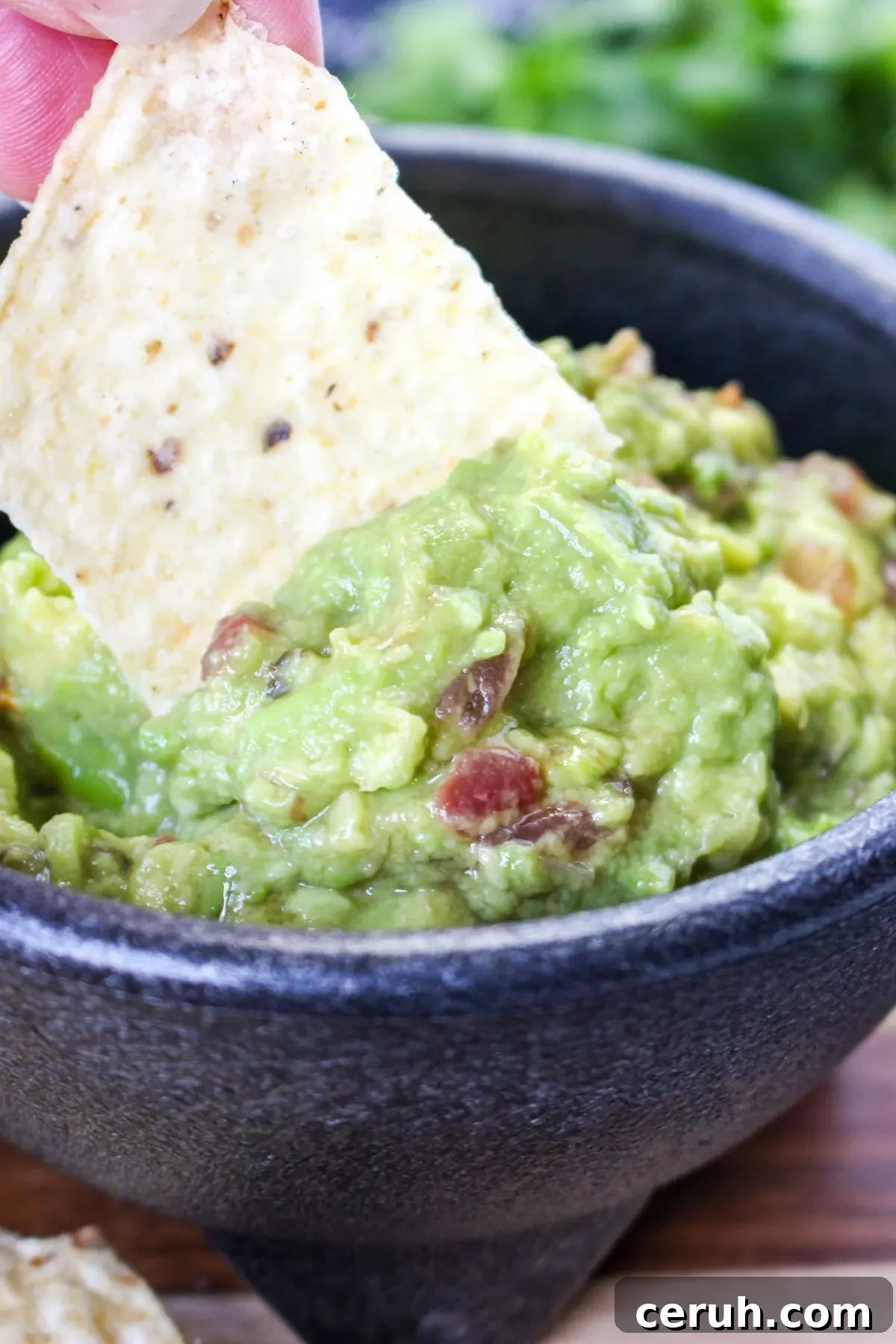 A chip being dipped in guacamole.