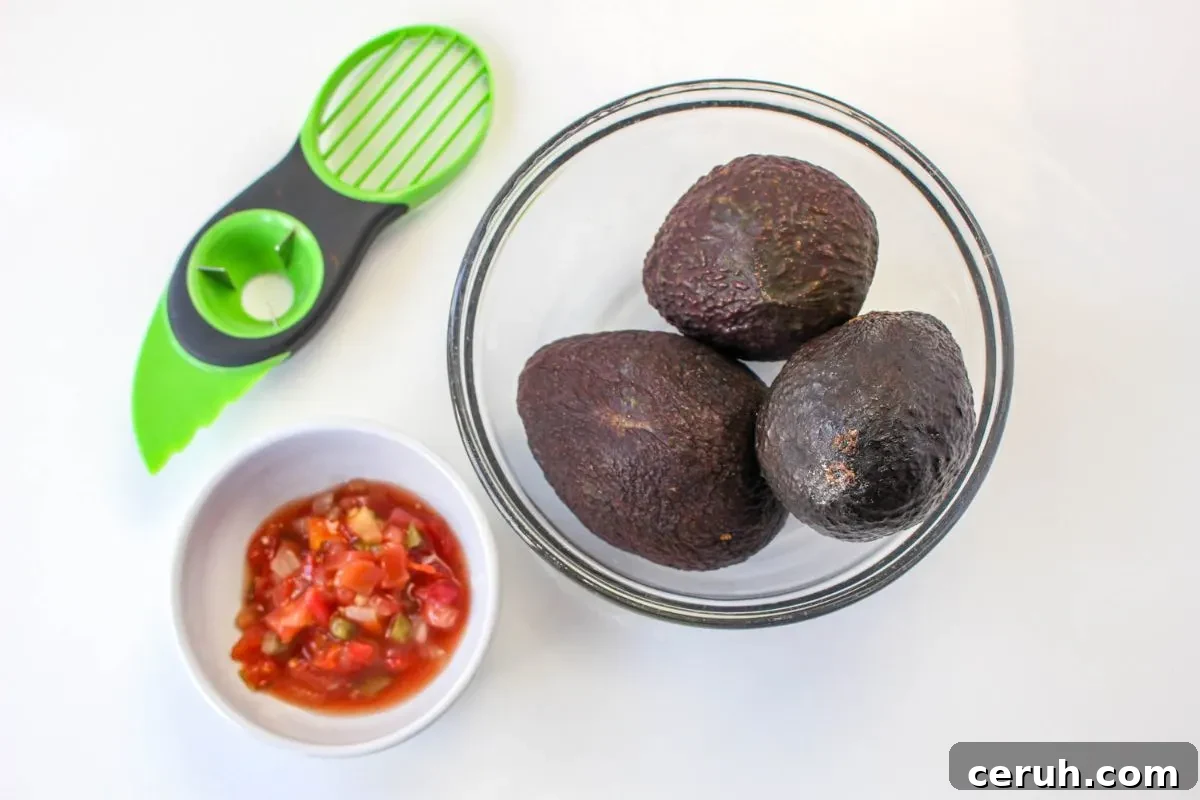 Avocados, salsa, and an avocado slicer.