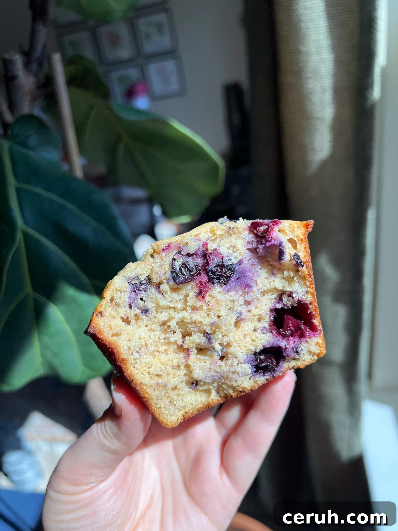 A blueberry muffin.