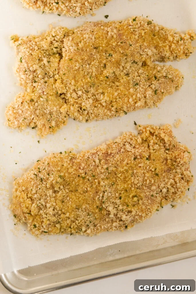 process shot - panko-breaded chicken cutlets on a baking sheet before baking.