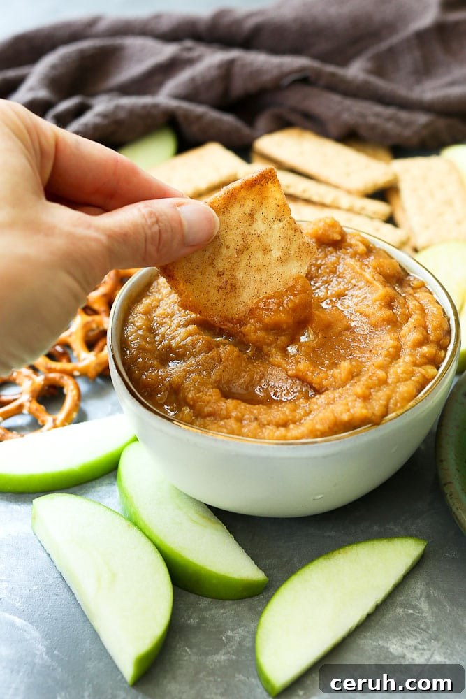 Easy Pumpkin Hummus Recipe