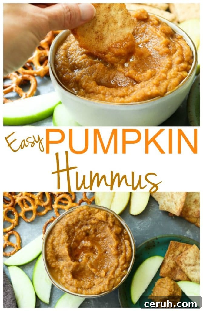 Easy Pumpkin Hummus recipe that's PERFECT for fall!! #pumpkin #pumpkinspice #hummus #easy #recipes #healthy #appetizer #fall #party #snack 