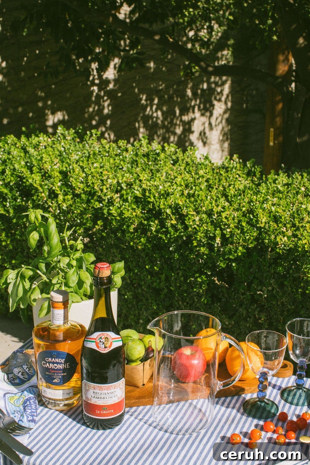 lambrusco, orange liqueur, fruit, and a large pitcher