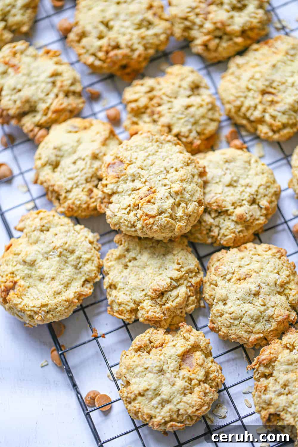 sugar free oatmeal cookie recipe - oatmeal butterscotch cookies