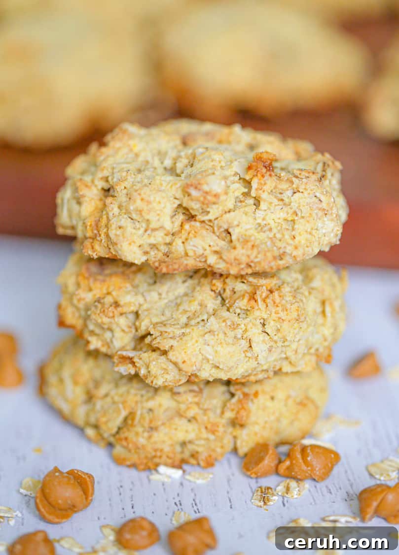 Sugar-Free Oatmeal Cookies with Butterscotch Chips