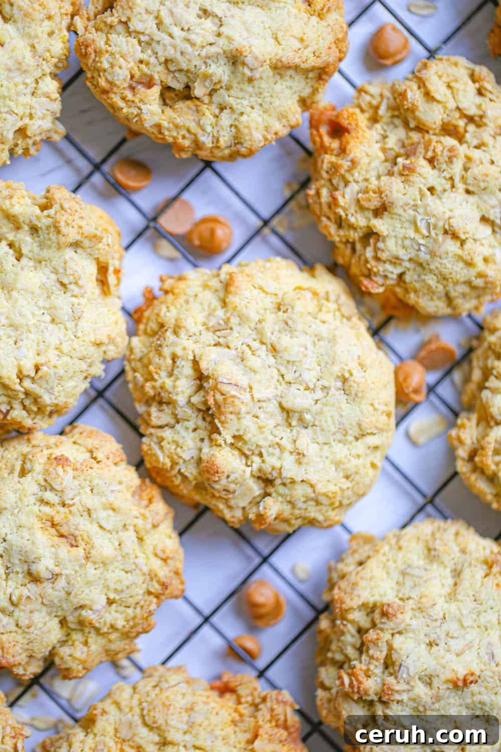 oatmeal butterscotch cookies