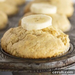 Bisquick Banana Muffins in a muffin tin with a fresh banana slice on top.