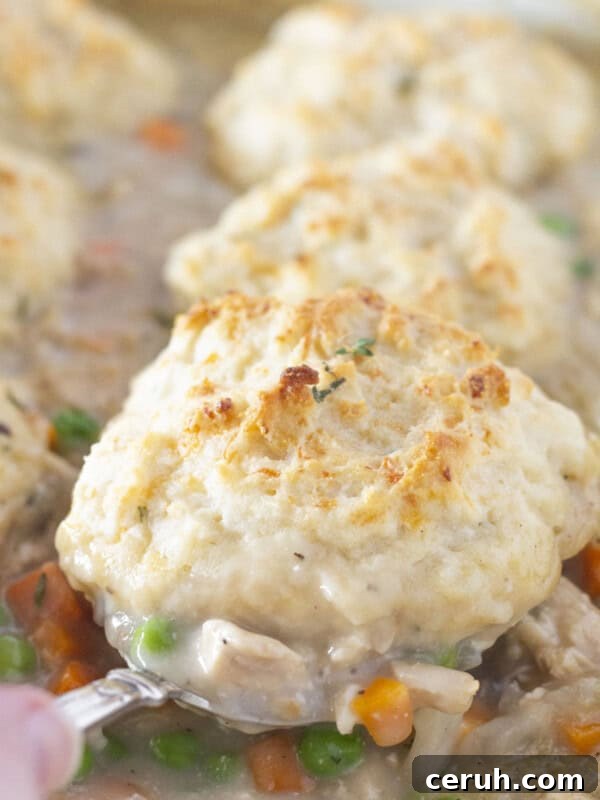 Serving chicken and biscuits casserole with a spoon.