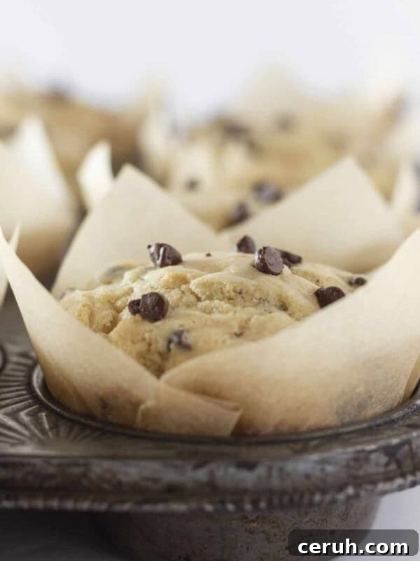 A dozen pancake mix muffins in a muffin pan.